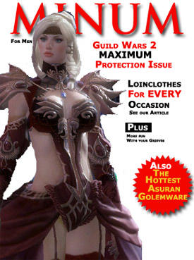 Guild Wars 2 - Дебаты о женских доспехах