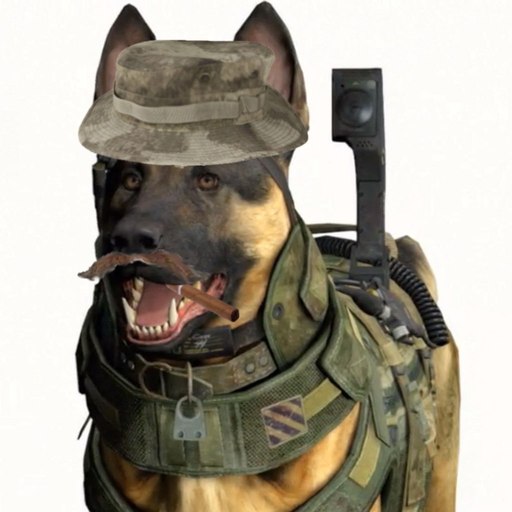 Call of Duty: Ghosts - Геймплей с собакой