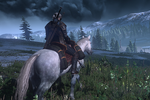 New_the_witcher_3_wild_hunt_horse