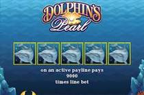 Dolphins Pearl оналйн — особенности игры на деньги